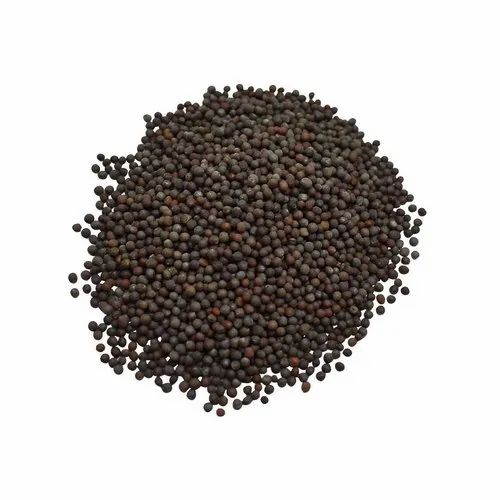 Best Farm Fine Mustard / Kali Sarso / Rai 100 g